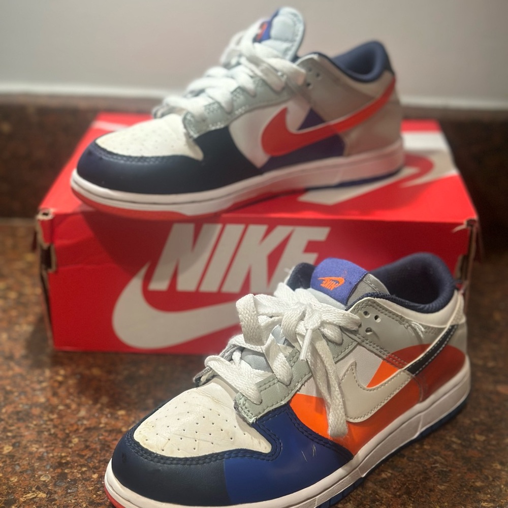 Kids Nike Dunks (Multicolor)
